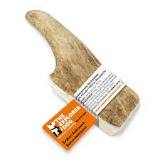 EXPLORER DOG paroží